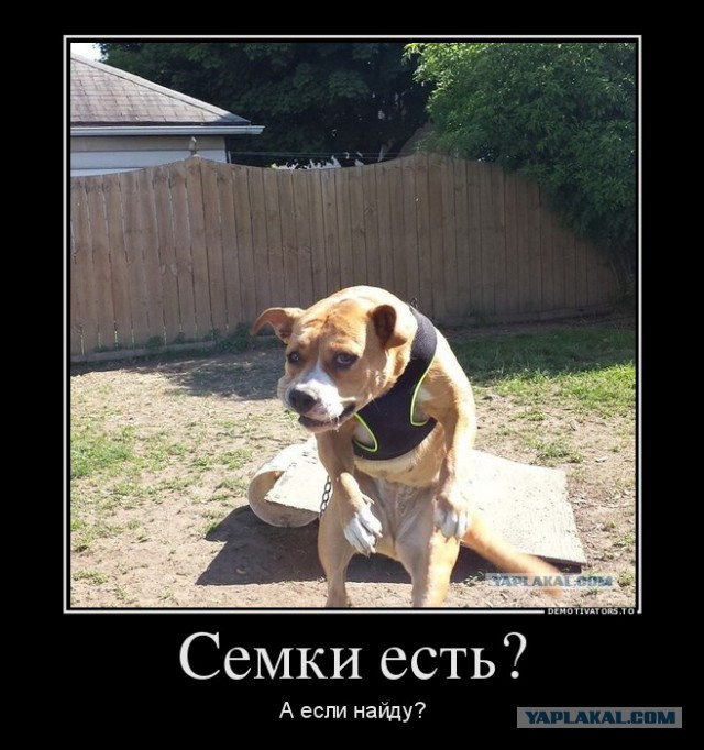 Что происходит?