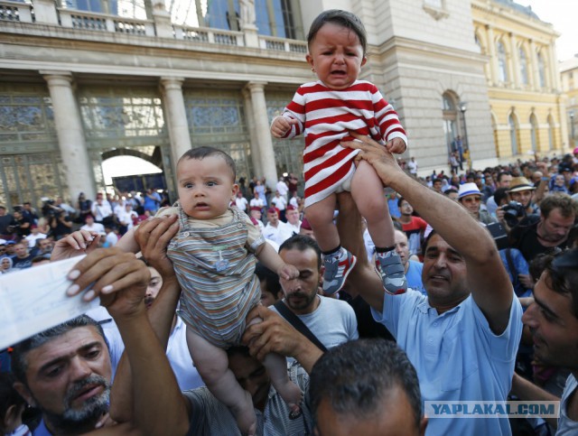 Германия прощается с беженцами читая Майн кампф