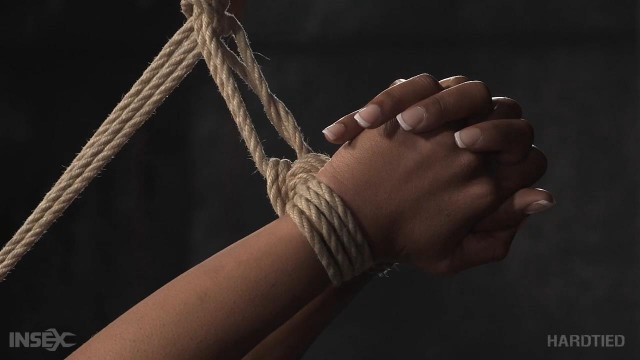 Кот и макраме ждут меня