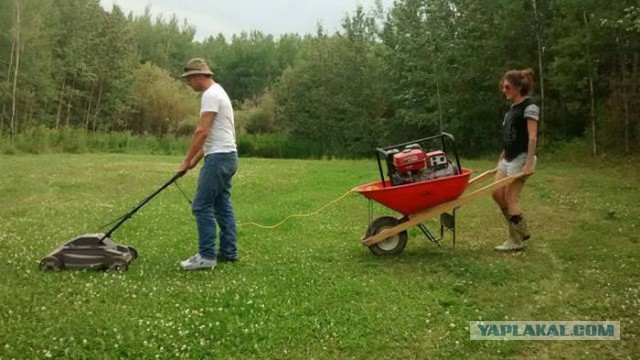 Порция картинок из сети