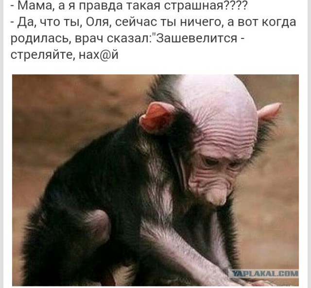 Картинки из интернетов