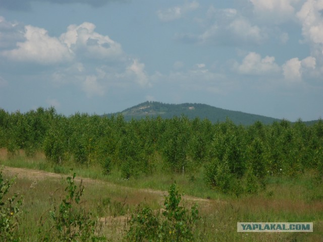 Мой родной сибирский поселок