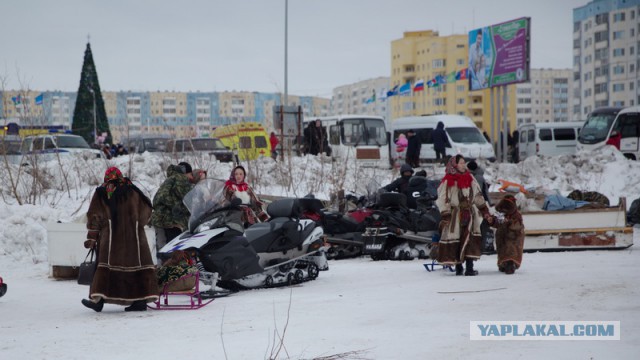 Новый Уренгой-Надым, покатушки  в выходные на День Оленевода