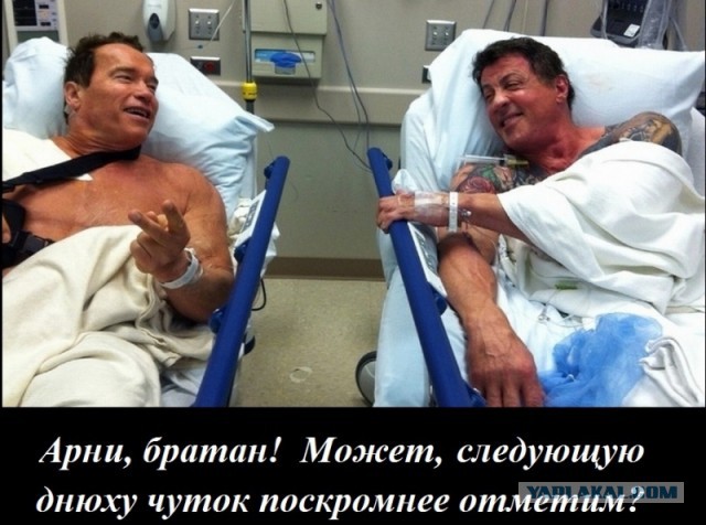 10 неожиданных фактов об Арнольде Шварценеггере