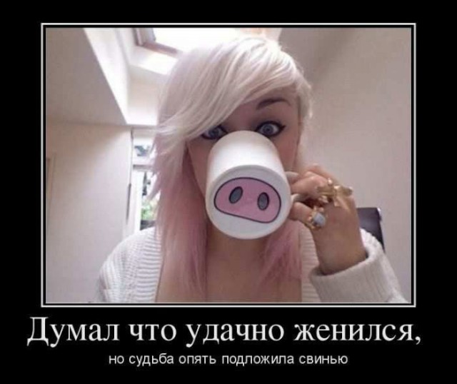 Просто картинки