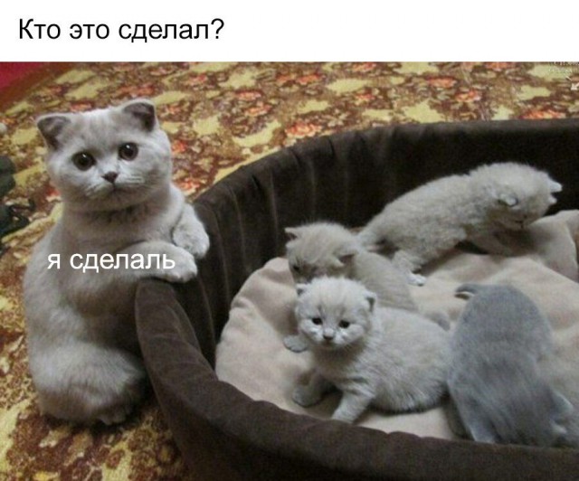 От работы отдыхаем, на картинки залипаем
