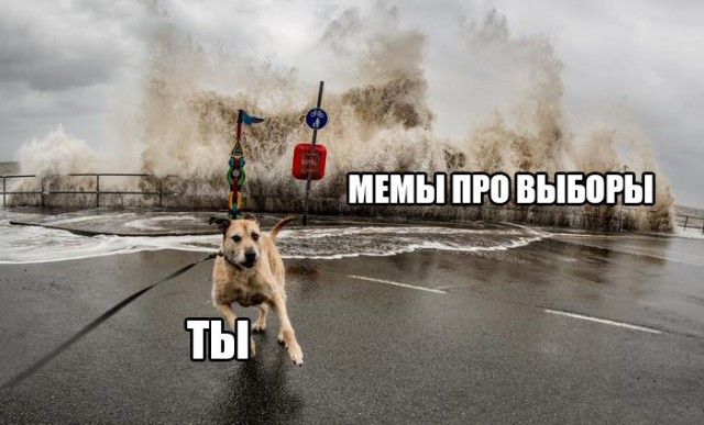 Нестандартный юмор