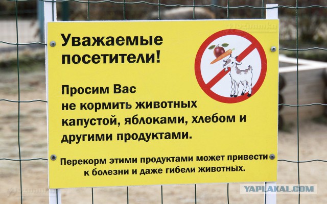 Девушка прогулялась по улице нагишом