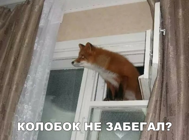 Нестандартный юмор