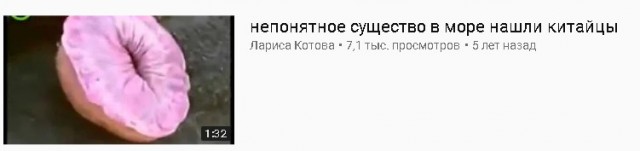 Чудо-юдо