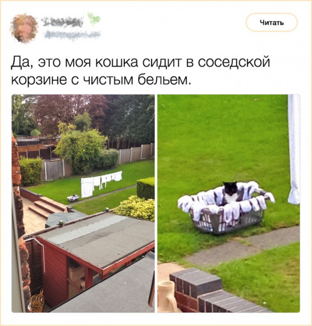 Немного картинок для настроения