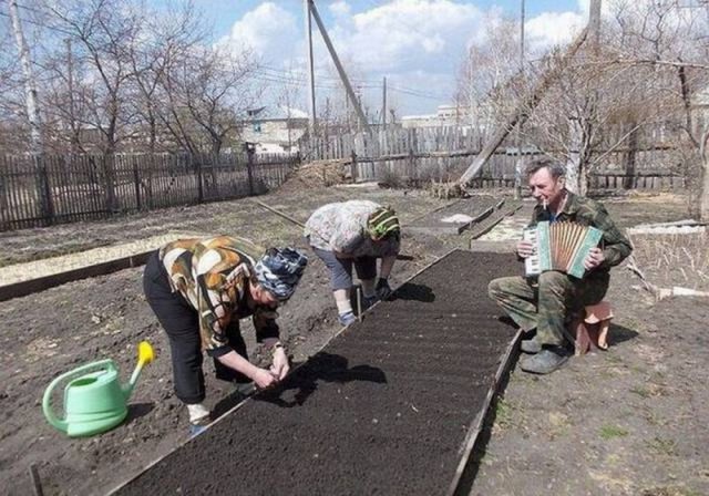 И всё-таки она наша. Лента картинок
