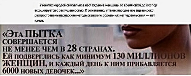 Факты на разные темы