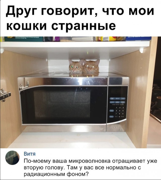 Нестандартный юмор