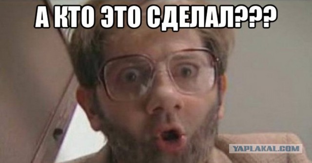 Сын экс-депутата, обозвавшего пенсионеров «тунеядцами», лишен статуса судьи