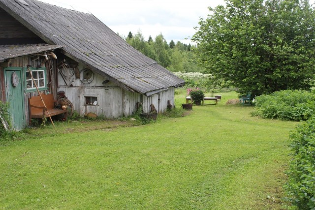 Август в деревне