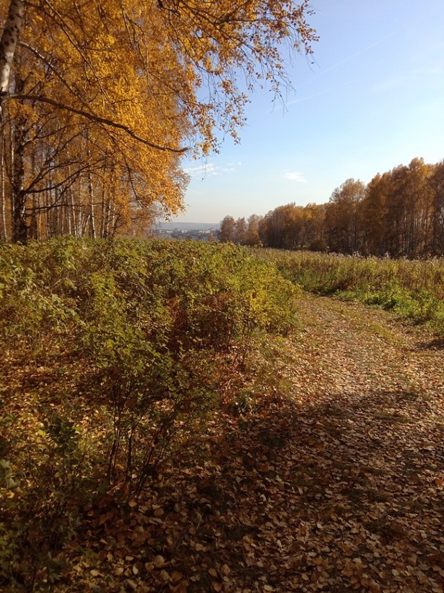 Сам себе фотограф