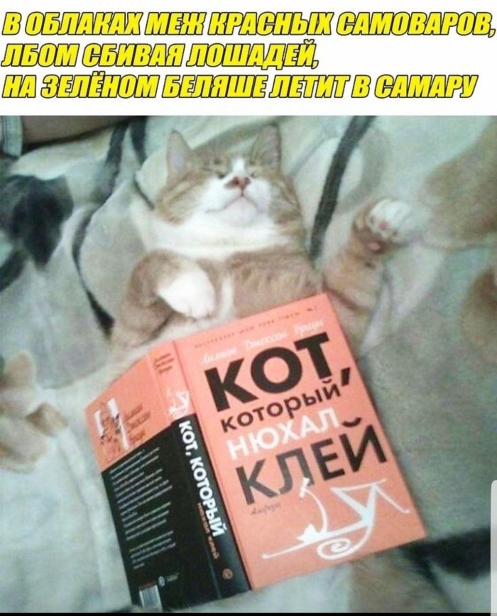 Понедельник пикчерс