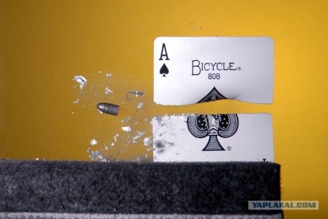 Фотокамера за 250 000$