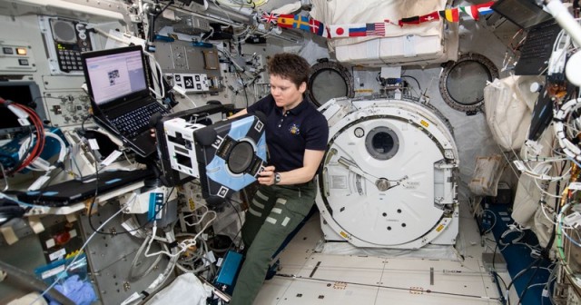 Интересные факты о ДНК и её значении в жизни человека