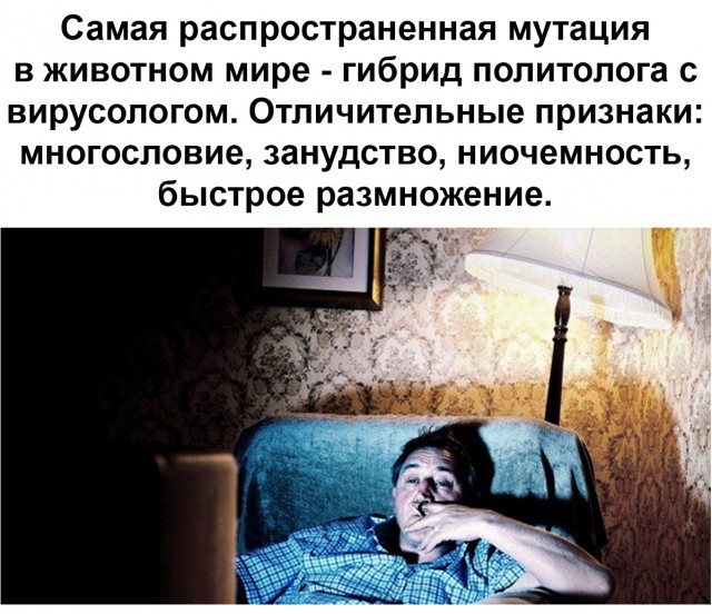 Немного картинок для настроения 06.04.20