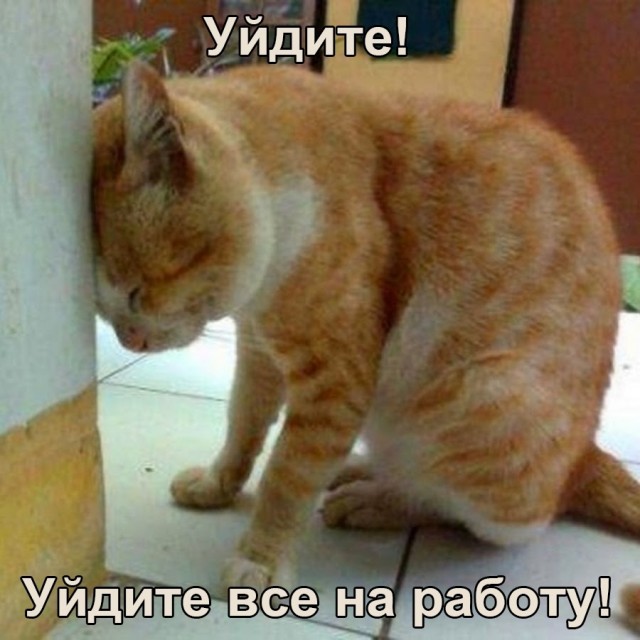 Немного картинок для настроения 01.06.20