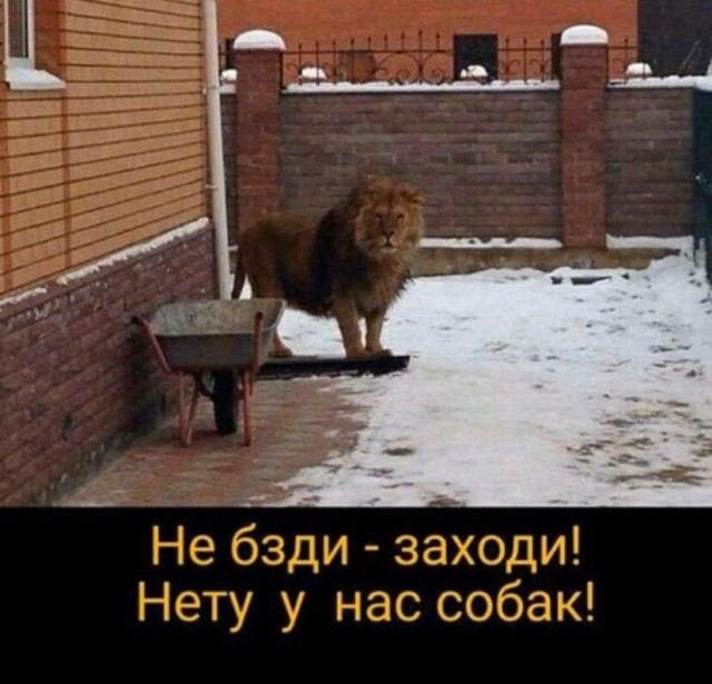 Просто картинки!