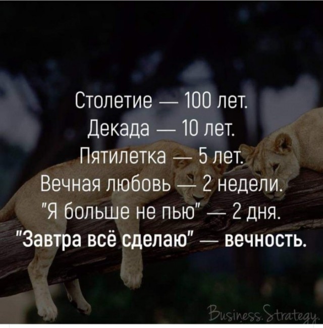 Фотки и картинки: юморные и красивые, забавные и милые 28.09.20