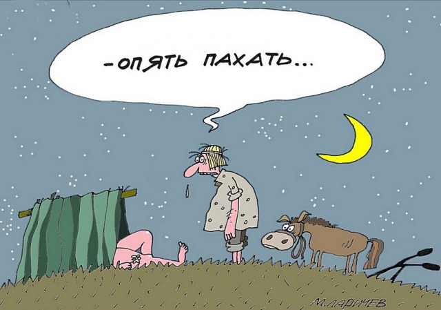 ЯПокатуры от tubdoc62