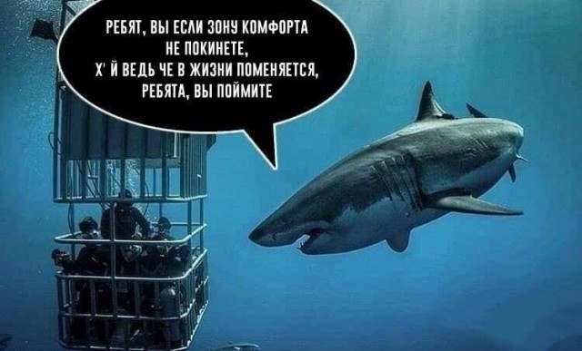 Юмор в картинках 17.11.20