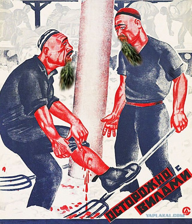 Жабим бороду?
