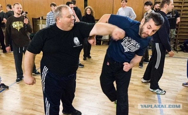 Выход дракона или сон в зимнюю ночь..