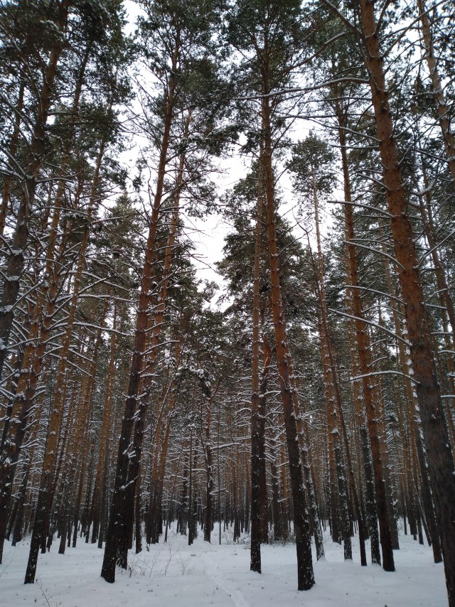 Аццкая кухня 3  (Кулинарный адъ)