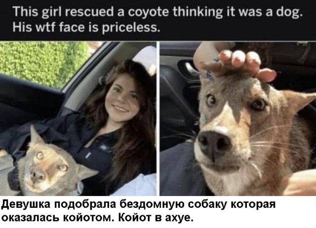 И где?