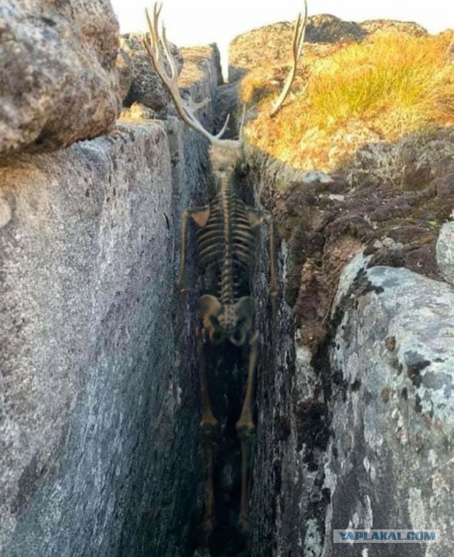 Судьба