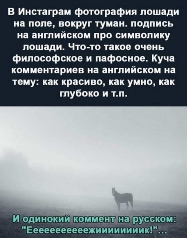 Картинки и мемы для настроения 23.09.2021