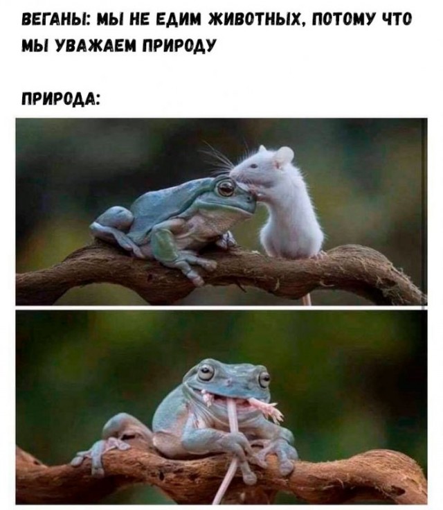 Картинки и мемы для настроения 01.11.2021