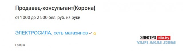Беженцы сдались: 430 разочарованных иракцев, застрявших на белорусско-польской границе, приняли решение вернуться домой
