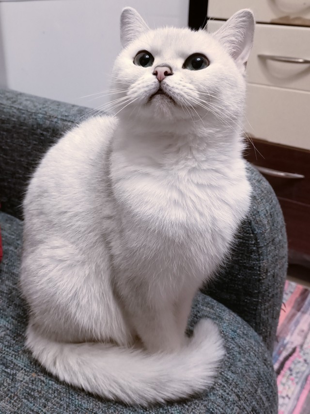 Котовторниковское