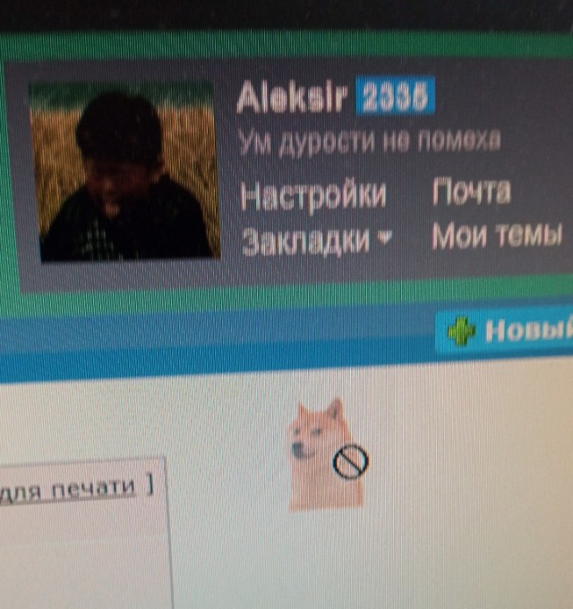 Как поймать собаку