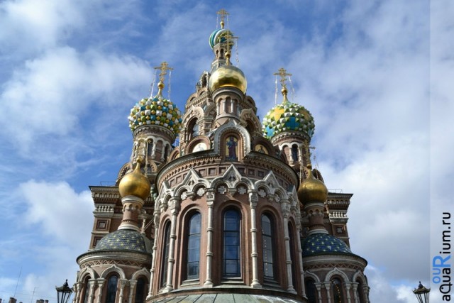 СПб глазами уставшего туриста...