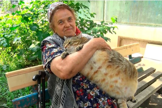 Ой, ну и всё. Не очень то и хотелось