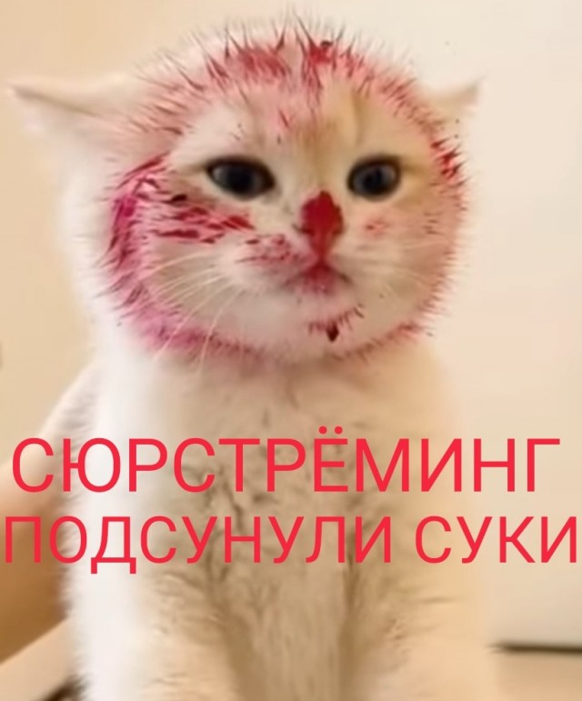 Чипсы со вкусом... вагины