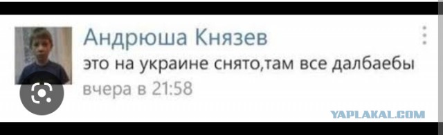 Отношение Гос-ва к мобилизованным