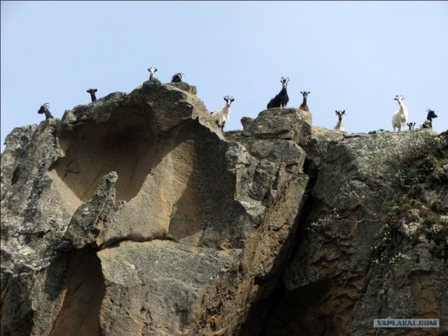 Франция. Корсика.