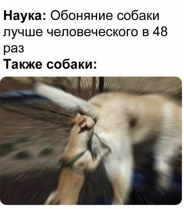 50 оттенков серого или самосвал баянов. Vol.27