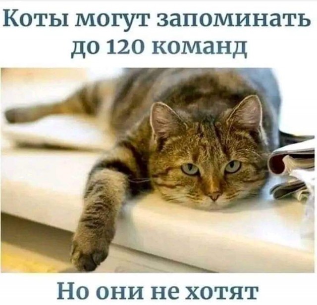 Картинки хз