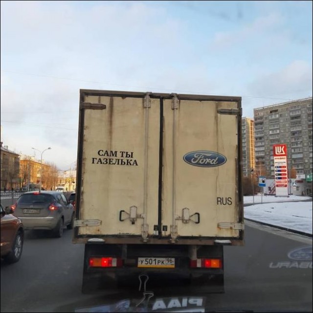 Перлы 10.12.22