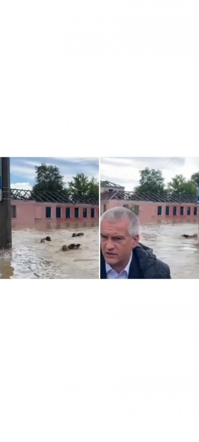 Боевые пловцы: воины трех стихий
