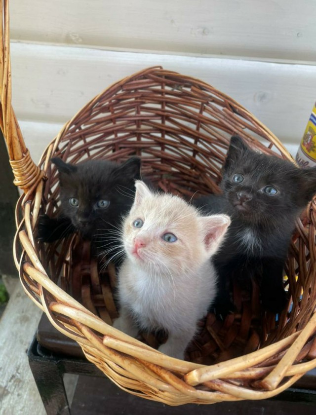 Подрос за 10 месяцев